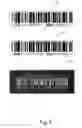Fig. 06 - Security systems and methods for electronic devices