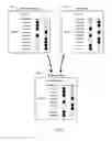 Fig. 10 - Timestamped license data structure