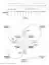 Fig. 02 - Method of determining a direction of rotation and valid transitions of quadrature pulses