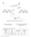 Fig. 01 - Virtual tunnel endpoints for congestion-aware load balancing