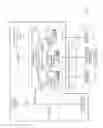 Fig. 03 - Multi-destination packet redaction
