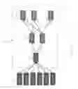 Fig. 02 - Routing agent platform with a 3-tier architecture for diameter communication protocol in IP networks