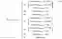 Fig. 10 - Risk assessment and remediation