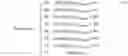 Fig. 11 - Risk assessment and remediation