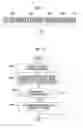 Fig. 16 - Secure document management through verification of security states of information processing apparatuses in the peer-to-peer transmission of encrypted documents
