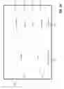Fig. 04 - Wireless communication between medical devices using multiple communication protocols