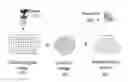 Fig. 01 - Panoramic portals for connecting remote spaces