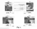 Fig. 04 - Method and Apparatus of Motion Vector Derivation for VR360 Video Coding