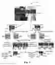 Fig. 04 - Method and apparatus of block partition for VR360 video coding