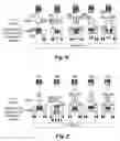 Fig. 06 - Method and apparatus of block partition for VR360 video coding