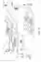 Fig. 10 - Mixed noise and fine texture synthesis in lossy image compression