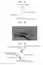 Fig. 11 - Information processing system