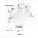 Fig. 33 - Wireless network synchronization of cells and client devices on a network