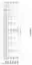 Fig. 13 - WIRELESS COMMUNICATION VIA A LARGE BANDWIDTH CHANNEL