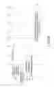Fig. 11 - METHOD AND APPARATUS FOR ESTABLISHING RADIO BEARER
