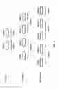 Fig. 09 - Adding a base station for dual connectivity of a wireless device