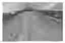 Fig. 01 - Onion growing method