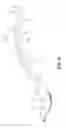 Fig. 05 - WASTE SCOOPER