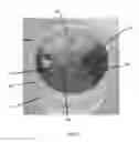 Fig. 06 - Pet watering system