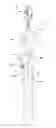 Fig. 01 - PET TOY