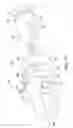 Fig. 12 - PET TOY