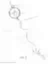 Fig. 04 - Slidable Leash