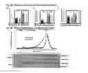 Fig. 05 - Mouse Models Having a Knockin Scavenger Receptor Class B Type I