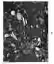 Fig. 03 - STRING APPARATUSES INCLUDING DIATOMACEOUS EARTH