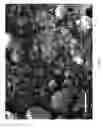 Fig. 04 - STRING APPARATUSES INCLUDING DIATOMACEOUS EARTH