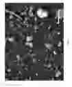 Fig. 05 - STRING APPARATUSES INCLUDING DIATOMACEOUS EARTH