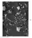 Fig. 18 - STRING APPARATUSES INCLUDING DIATOMACEOUS EARTH