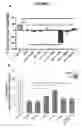 Fig. 04 - Novel Plant Growth Regulators and Methods of Using Same