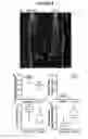 Fig. 10 - Novel Plant Growth Regulators and Methods of Using Same