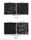 Fig. 02 - Chlorella-based composition, and methods of its preparation and application to plants