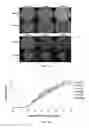 Fig. 02 - MAGNESIUM ION AS ANTIBACTERIAL AGENT