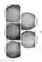 Fig. 09 - MAGNESIUM ION AS ANTIBACTERIAL AGENT