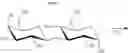 Fig. 14 - METHOD OF CONVERTING LACTOSE-CONTAINING DAIRY BY-PRODUCTS INTO MONOSACCHARIDES