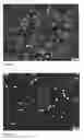 Fig. 10 - HIGH LOAD FLAVOR PARTICLES