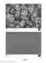 Fig. 09 - Method of producing microparticles of the type having a crosslinked, aggregated protein matrix by spray drying