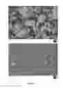 Fig. 11 - Method of producing microparticles of the type having a crosslinked, aggregated protein matrix by spray drying