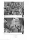 Fig. 13 - Method of producing microparticles of the type having a crosslinked, aggregated protein matrix by spray drying