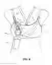 Fig. 07 - Pumping/nursing bra