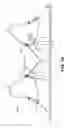 Fig. 17 - Pumping/nursing bra