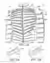 Fig. 02 - Cold weather vented garment