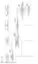 Fig. 16 - INFORMATION PROCESSING METHOD