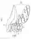 Fig. 02 - Sole structure and shoe including same