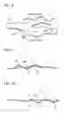 Fig. 09 - Midsole structure for a shoe