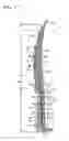 Fig. 10 - Midsole structure for a shoe