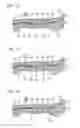 Fig. 13 - Midsole structure for a shoe