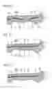 Fig. 14 - Midsole structure for a shoe
